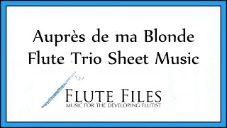 Auprès de Ma Blonde  Flute Trio [upl. by Eiliak]