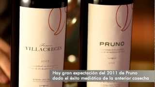 Catamos Pruno 2011 en exclusiva para Todovino y Finca Villacreces 2007 en la bodega [upl. by Dacey954]