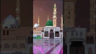 new Naat 2024  hamare pyare Nabi [upl. by Martelle]