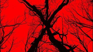 Blair Witch  2016  Late Cash Grab Or Genuine Sequel  Film Review [upl. by Neelrad]