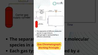 Gas Chromatograph working Principle gas gases chromatography working principles [upl. by Margot]