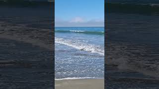 The Beauty of the Beach cayucos california [upl. by Hendrickson]