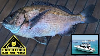 Best Day Bottom Fishing HottentotCape Bream Catch Cook Kids Cape Town and Robben Island [upl. by Htebilil626]