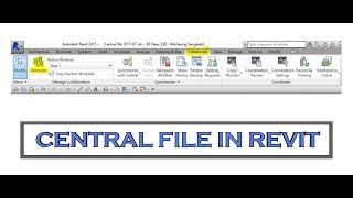 Central file and worksets local copy in revit [upl. by Edgar]