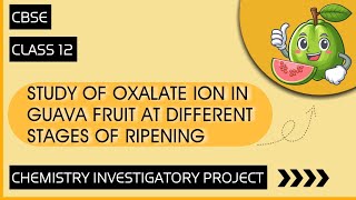 Chemistry Investigatory Project on To Study Oxalate Ions in Guava Fruit  Class 12 [upl. by Kcired]