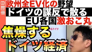 なぜ欧州は35年完全EV化を諦めたのか？裏事情を読み解く。 [upl. by Patrica]