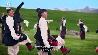 Tibetan Gorshey Song 2023 གཟིམ་བྲོ་བཀྲ་ཤིས་ཡར་འགྲོ། [upl. by Kier315]