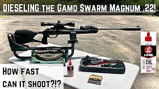 Dieseling the Gamo Swarm Magnum 22 [upl. by Erasme]