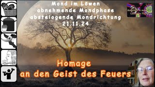 MondART  Eine Homage an den Geist des Feuers [upl. by Nileak]