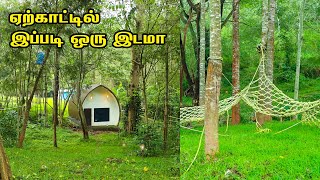 Yercaud Forest Stay 3 வேளை உணவுடன் ₹2500 மட்டுமே 😍  Yercaud Resort Review I Forest Stay In Yercaud [upl. by Iosep]