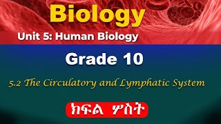 Grade 10 Biology unit 5 part 3  Human Biology  The circulatory and lymphatic system [upl. by Shaylah688]