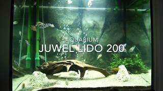 Juwel Lido 200 [upl. by Fredenburg]