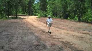 Planting Centipedegrass Seed in Alabama [upl. by Nerad461]