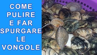 COME SPURGARE LE VONGOLE PULIRLE BENE APRIRE E TOGLIERE LA SABBIA  FoodVlogger [upl. by Enrahs]