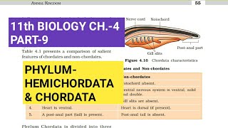 Class 11 BiologyCh4 Part9PhylumHemichordata amp ChordataStudy with Farru [upl. by Nail565]