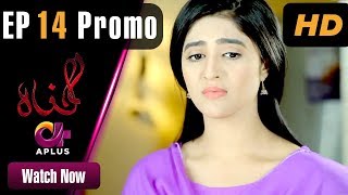 Gunnah  EP 14 Promo  Aplus Sara Elahi Shamoon Abbasi Asad Malik  Pakistani Drama  C3M1 [upl. by Harrow744]