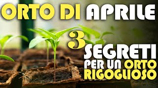 ORTO di APRILE  3 SEGRETI per un ORTO RIGOGLIOSO [upl. by Aitas]