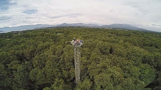 Qual o impacto que as mudanças climáticas têm nas florestas  futuris [upl. by Vena370]