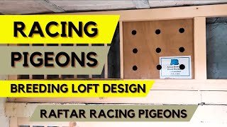 RACING PIGEONS BREEDING LOFT DESIGN Dos and Donts [upl. by Corkhill]