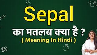 Sepal meaning in hindi  Sepal ka matlab kya hota hai  Word meaning [upl. by Asteria]