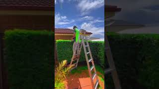 Satisfying garden work 🍀🍀GardenWork shorts gardening satisfying work gardenwork grass [upl. by Japha]