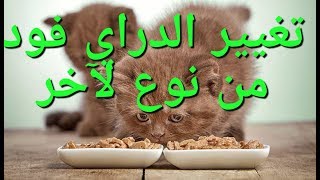 تغيير النظام الغذائي في الدراي فود للقطط من نوع إلى آخر وحجم الوجبة الواحدة [upl. by Almond]