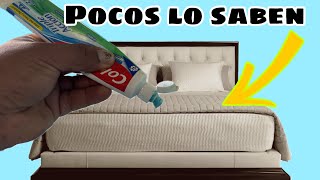 Aplica PASTA DENTAL a tu CAMA  💥LO APRENDÍ EN UN HOTEL💥🤫 [upl. by Nywloc43]