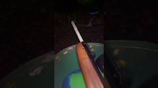 Weihrauch HW99S vs ginger beer shorts science weihrauch nature airgun subscribe [upl. by Nylednarb]