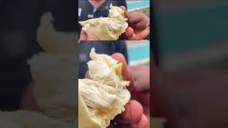 Enna ippadi naaruthu Ithu Palama illa vera ethova eatingchallengetamil foodie [upl. by Luamaj]