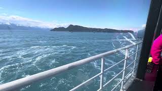 Alaska whale watching tour ride [upl. by Jesus]