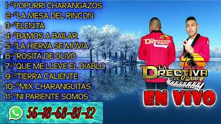 LA DIRECTIVA D OAXSN FELIPE DEL PROGMEX PARTE 2 AUDIO FULL HD★★★ [upl. by Andromada]