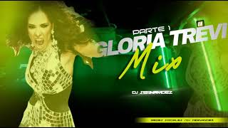 MIX GLORIA TREVI  PARTE 1  DJ SERNANDEZ [upl. by Ordnas573]