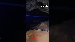 In a hidden cave in Manatí Puerto Rico We can observe a huge amount of contamination [upl. by Orelu]