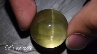 PHENOMENAL 85ct Cats Eye Apatite  GemSelect Video Reviews [upl. by Almeta]