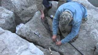 Credit River Salmon Fishing Saddington Park Mississauga Ontario [upl. by Chaing710]