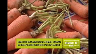 Regional TV News Problema sa Agrikultura [upl. by Haisi328]