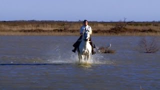 Portrait  voyage amical en terre sauvage de Camargue [upl. by Adila]