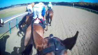 Rivellino  Dougie Costello Jockey Cam  Finals Day 2016 [upl. by Otir]