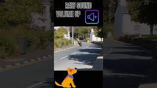 REACTION DOG  RAW Sound Motorbike Isle Of Man TT  Full GAS Superbike 🤯😳🛵 shorts motorbike [upl. by Akimyt]