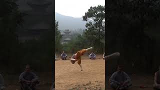 The 1 Shaolin Masters crazy skills  Shaolin Temple Yunnan [upl. by Ayyn]