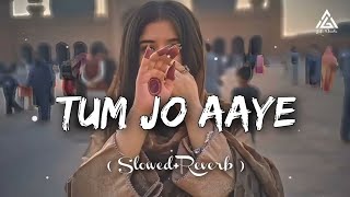 Tum Jo Aaye SlowedReverbRahat Fateh Ali Khan  Textaudio Lyrics MY LOFI SONG [upl. by Emylee785]