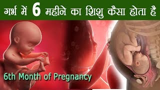 6 month of Pregnancy Baby Development गर्भावस्था का छठा महीना शिशु का विकास और वजन [upl. by Jarlathus]