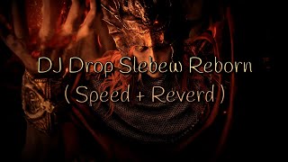 DJ Drop Slebew Reborn  Slowed  Reverd [upl. by Einapets]