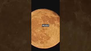 MindBlowing Facts About the Hunters Moon [upl. by Florie368]