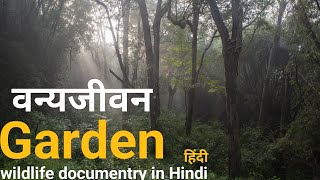 Garden of the gods  हिंदी डॉक्यूमेंट्री  Bhumdya Sagar Wildlife documentry [upl. by Garald]