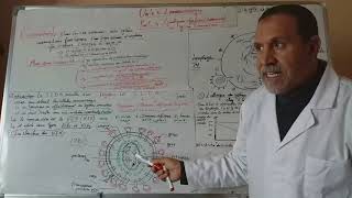 LIMMUNOLOGIE le dysfonctionnement du systeme immunitairele SIDA [upl. by Akirehc958]