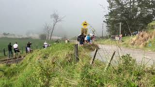 Rally Towai 1 — Hayden Paddon [upl. by Hagep]