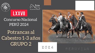 Potrancas al Cabestro 13 anos Grupo 2 LXXVII CONCURSO NACIONAL PERU 2024 [upl. by Anaidni]