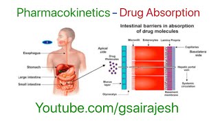 PharmacokineticsAbsorption lipophilicity surface area Passive Facilitated Active absorption [upl. by Parette]