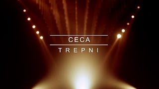 CECA TREPNI  KARAOKE [upl. by Ennayllek166]